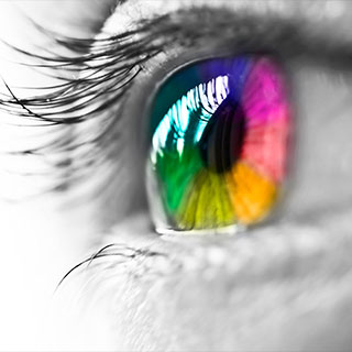 Same Day Board Printing